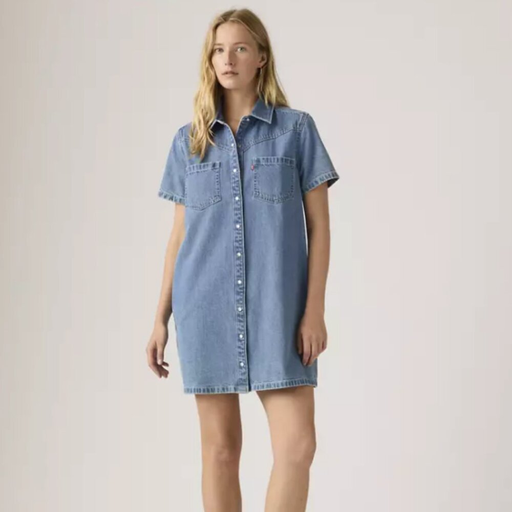 Levi’s Louisa Short-Sleeve Denim XL Dress